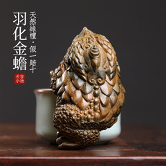 Natural green sandalwood carved feathered golden toad small ornaments to attract wealth three-legged golden toad play hand-held pieces home decorations