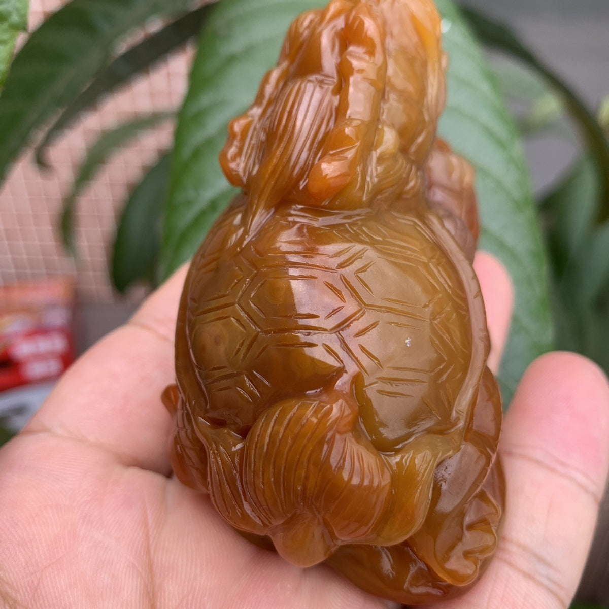 Natural Brazilian Agate Premium Dragon Turtle Tea Pet Ornament