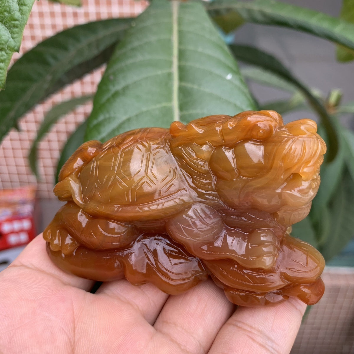 Natural Brazilian Agate Premium Dragon Turtle Tea Pet Ornament