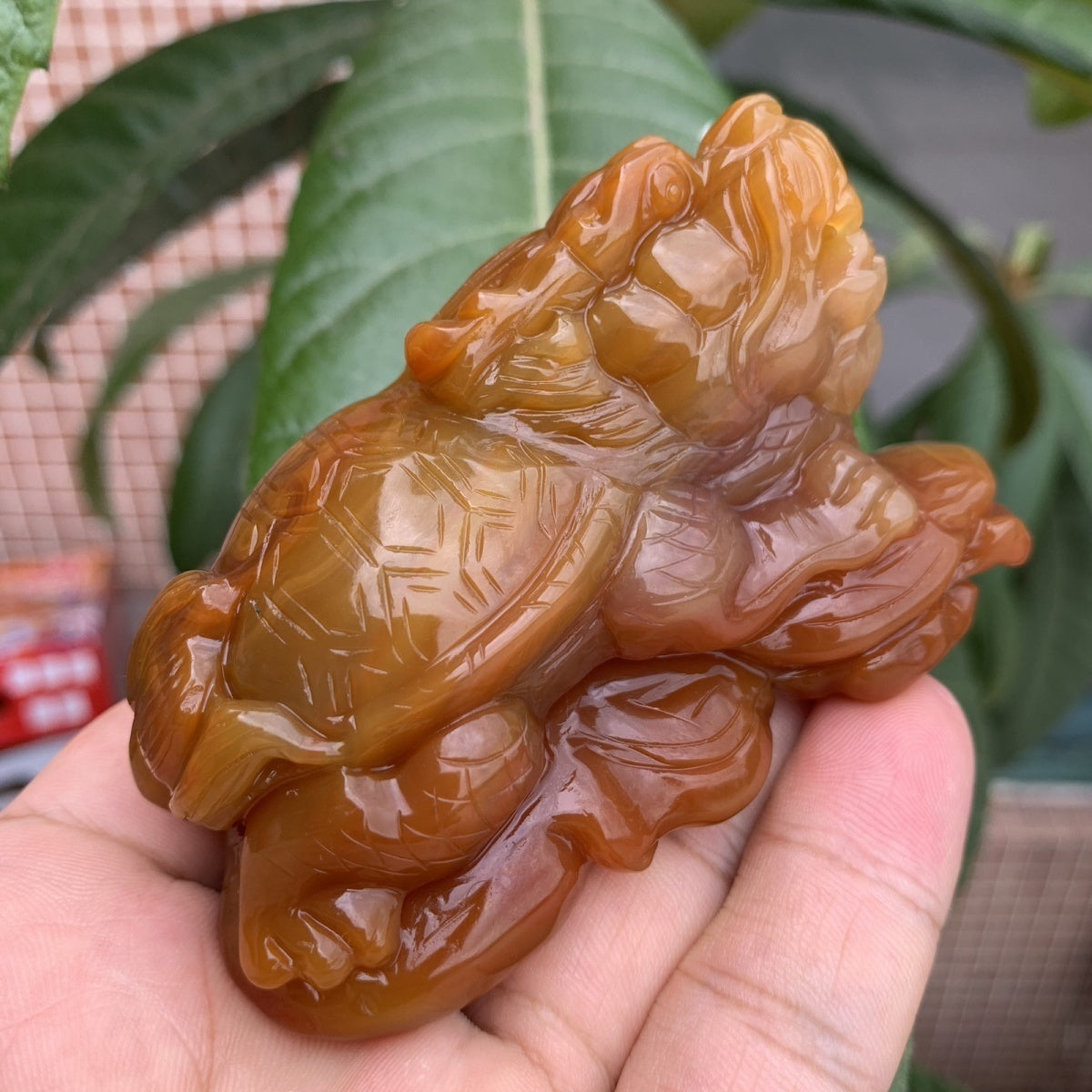 Natural Brazilian Agate Premium Dragon Turtle Tea Pet Ornament