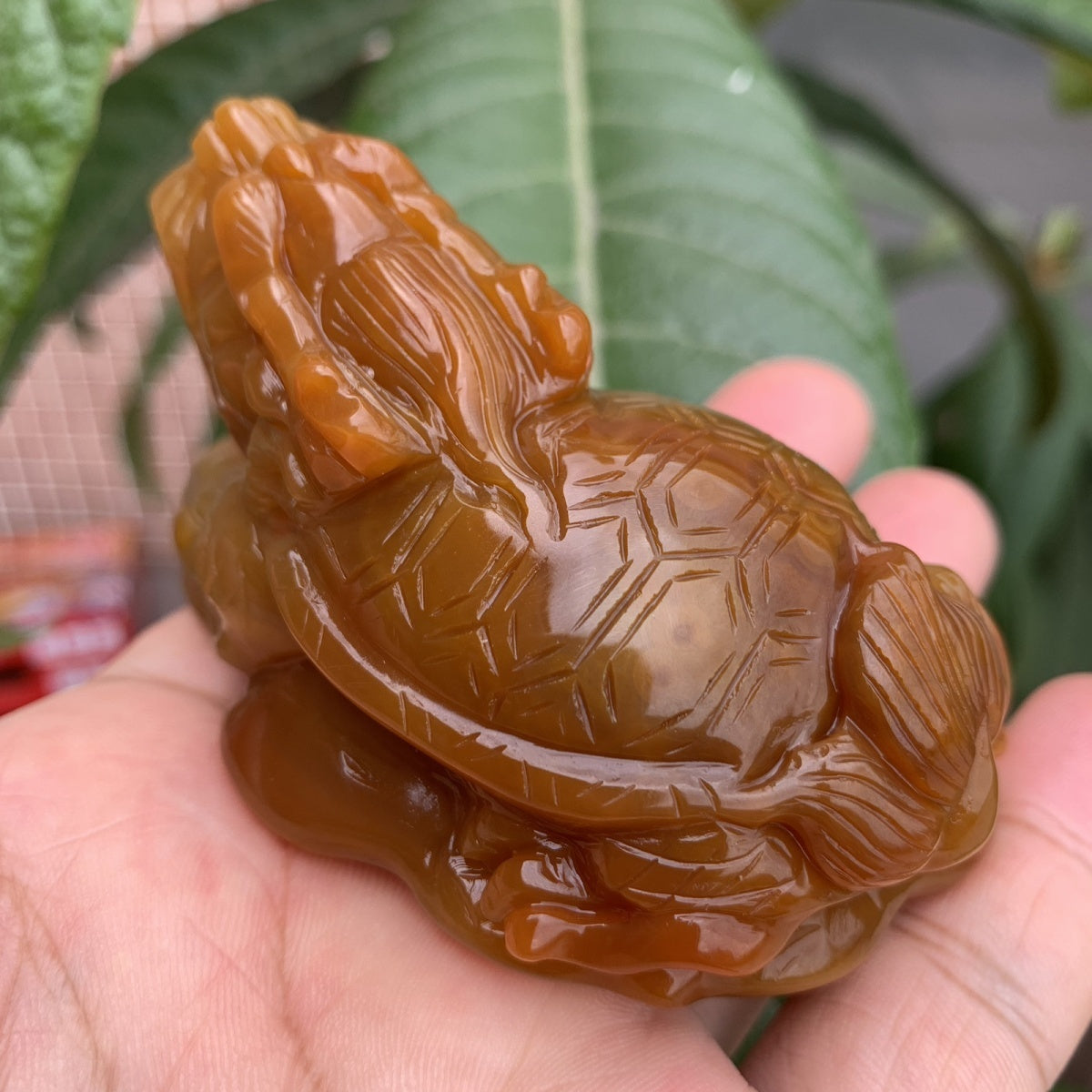 Natural Brazilian Agate Premium Dragon Turtle Tea Pet Ornament