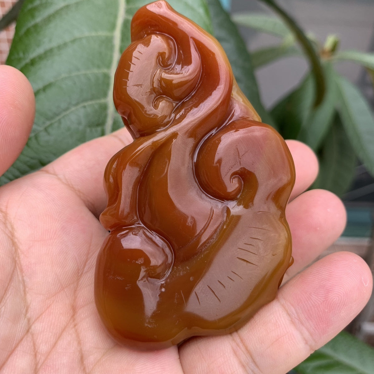 Natural Brazilian Agate Premium Dragon Turtle Tea Pet Ornament